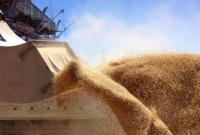 Экспорт зерновых уменьшился на 12%