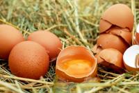 ОАЭ полюбили украинские яйца и стали крупнейшим покупателем