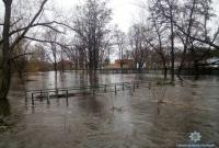 В Чернигове из-за паводка подтоплены десятки домов (видео)