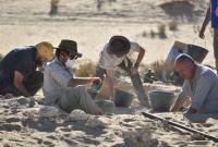 Датировка сдвигается. В Саудовской Аравии нашли останки человека возрастом 95−86 тысяч лет