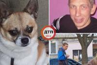 Киевлянин выбросил с девятого этажа собаку своей матери, - СМИ