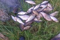 На Николаевщине браконьер наловил рыбы на почти 50 тыс. грн