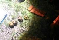 У Труханова острова в Киеве обнаружили тайник с гранатами и взрывчаткой