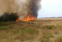 Синоптики предупредили о пожарной опасности в пяти областях