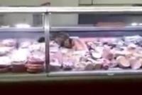 В киевском супермаркете кот полакомился колбасой прямо с прилавка (видео)
