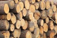 В Украине ужесточили наказание за незаконную вырубку леса и его контрабанду