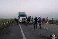 В Николаевской области задержали водителя грузовика, в который влетела маршрутка с иностранцами
