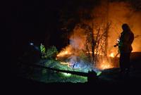 Лесные пожары в Швеции: восемь стран отправили спасателей на помощь