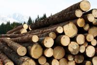 В Австрии призвали Украину отменить запрет на экспорт леса