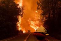 Из-за пожаров в Калифорнии эвакуировали 37 тысяч человек. Пять человек погибли