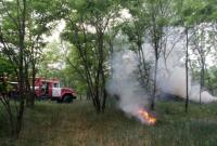 Версия о поджоге леса в Чернобыльской зоне пока не подтвердилась