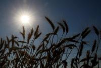 Минагропрод подсчитал потери урожая из-за изменений климата