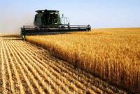 В Украине заметно выросла заработная плата в сельскохозяйственном секторе