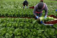 Украинский бизнес испытывает кадровый голод из-за трудовой миграции