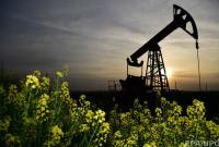 Иран намерен заблокировать в ОПЕК решение об увеличении добычи нефти