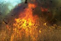 В Херсонской области за ночь сгорело 170 гектаров пшеничного поля