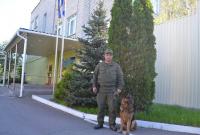 На Николаевщине служебная собака нашла пропавшего ребенка, готовящегося к самоубийству