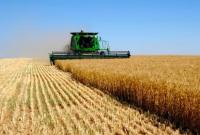 Зарубежные инвесторы вложили в украинское сельское хозяйство 1 млрд долларов