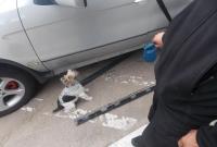 На Черниговщине пес обнаружил у литовца 26 кг наркотиков, которые он вез из РФ в тайнике в BMW Х5 (видео)