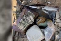 $52 тысячи и украшения: в США семья нашла клад прямо в собственном дворе (видео)