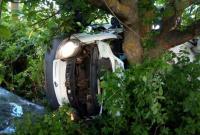 ДТП под Николаевом: микроавтобус врезался в дерево, пятеро погибших