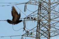 Китайцы заинтересовались электроэнергией в Украине