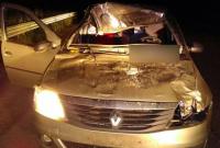 В Полтавской области автомобиль столкнулся с лосем, есть погибшая