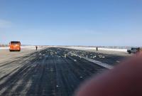 В России самолет потерял при аварии почти 9 тонн золота – груз ищут в окрестностях аэродрома