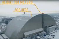 Рабочие Чернобыльской АЭС спасли собаку, забравшуюся на крышу саркофага - видео