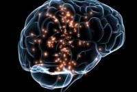 Ученые обнаружили связь между аутизмом и повышенным содержанием алюминия в мозге