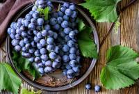 Италия соберет самый большой в мире урожай винограда