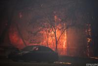 NYT: власти Калифорнии не оповестили вовремя местных жителей о начале пожара