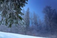 Снежный Новый год и температурные "качели": появился подробный прогноз погоды на зиму в Украине