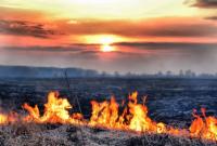 Заморозки и пожароопасность: по Украине контрастные погодные условия