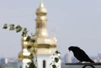 В УПЦ КП рассказали, кому должны принадлежать все украинские монастыри-лавры