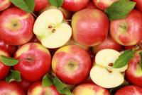Фермеры отказываются от сбора яблок из-за низких цен и засилья импорта