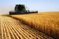 Аграрии собрали около 70% урожая зерновых