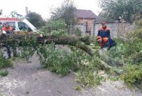 В Украине бушует непогода: более 200 населенных пунктов остались без электроэнергии