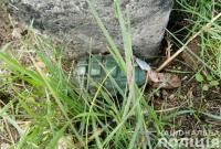 В Запорожской области неизвестный установил гранату возле железнодорожных путей