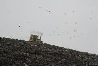 В ближайшие годы в Киеве планируют построить новые мусороперерабатывающие заводы