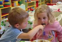 Правительство призвали разрешить проверки поставщиков продуктов в детские сады