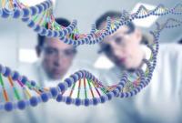 Ученые обнаружили гены, которые отвечают за внешность человека