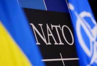 Опрос: 43% украинцев поддерживают вступление в НАТО