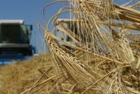 Украина экспортировала более 21 млн тонн зерновых