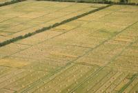 В Украине запланировали масштабную оценку сельхозземель