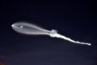 SpaceX не удалось вывести на орбиту секретный спутник США - СМИ