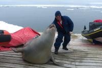 Морской слоненок уснул в лодке украинских полярников