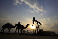 Кризис на нефтяном рынке: Катар решил выйти из ОПЕК