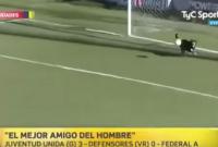 В Аргентине собака спасла футбольную команду от гола после ошибки вратаря