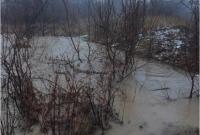 В Луганской области затопило сады и огороды из-за обстрела водопровода